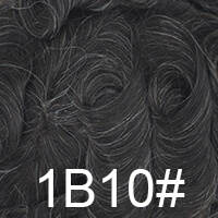 1B10# 1B# with 10% gray hair