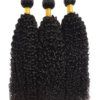 KINKY CURL HUMAN HAIR
