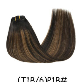 Clips in Hair Extensions Remy Natural Human Hair Straight Double Weft-(T1B/6)P1B#