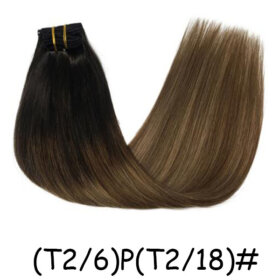 Clips in Hair Extensions Remy Natural Human Hair Straight Double Weft-(T2/6)P(T2/18)#