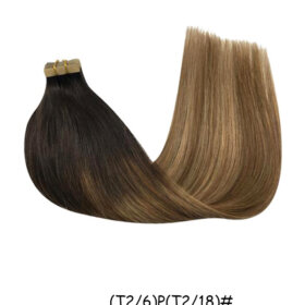Tape in Hair Extensions Human Hair skin weft hair Tape 20pcs-(T2/6)P(T2/18)#