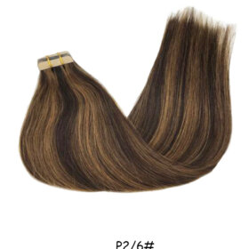 Tape in Hair Extensions Human Hair skin weft hair Tape 20pcs-P2/6#