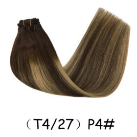 Clips in Hair Extensions Remy Natural Human Hair Straight Double Weft-（T4/27）P4#