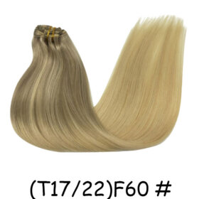 Clips in Hair Extensions Remy Natural Human Hair Straight Double Weft-(T17/22)F60 #