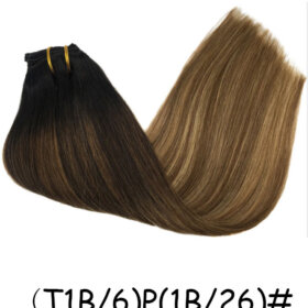 Clips in Hair Extensions Remy Natural Human Hair Straight Double Weft-（T1B/6)P(1B/26)#