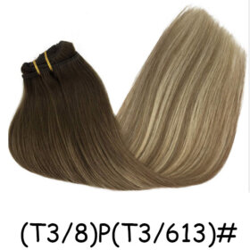 Clips in Hair Extensions Remy Natural Human Hair Straight Double Weft-(T3/8)P(T3/613)#