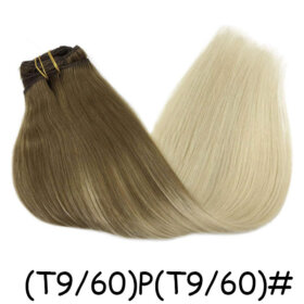 Clips in Hair Extensions Remy Natural Human Hair Straight Double Weft-(T9/60)P(T9/60#