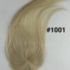 #1001