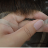 dark brown toupee
