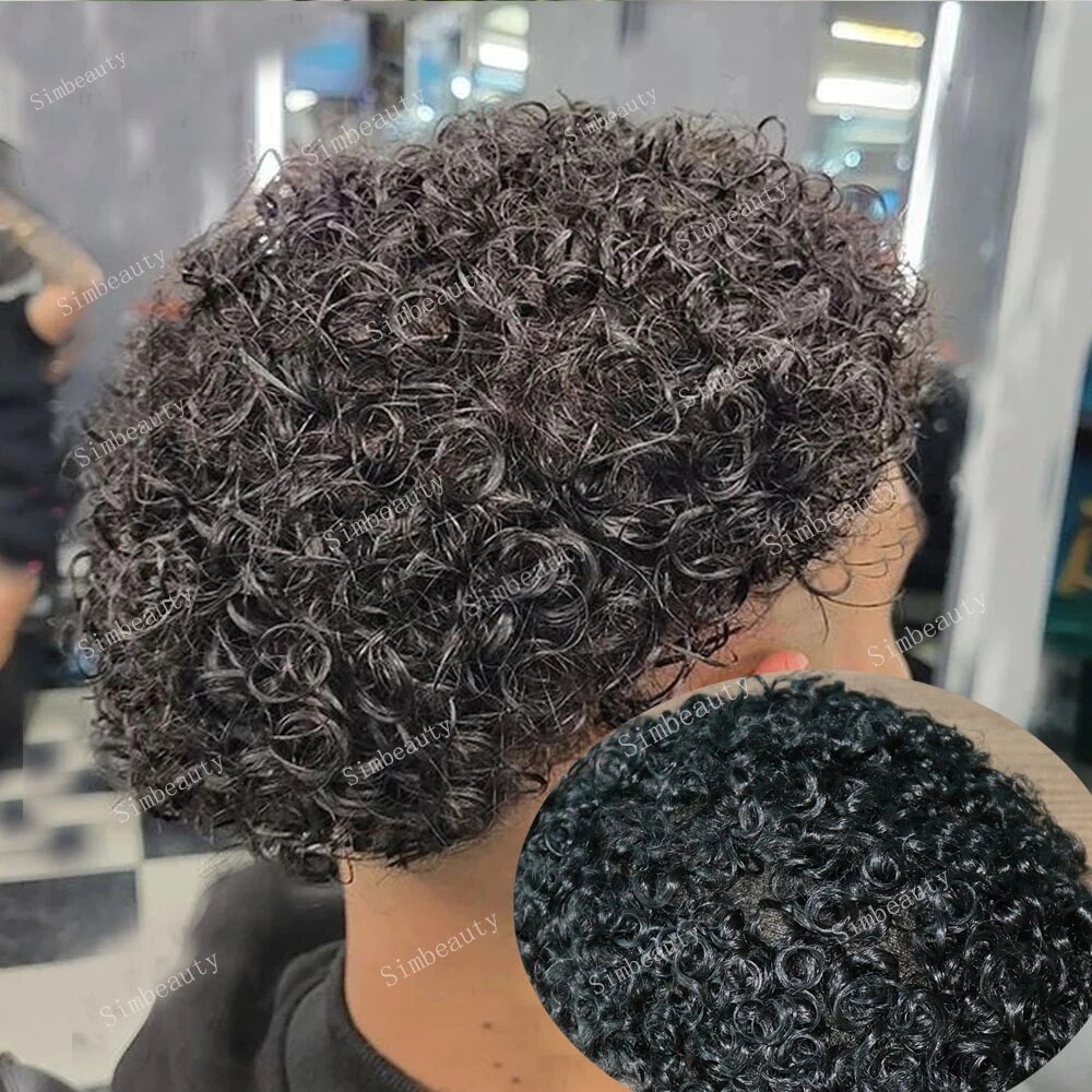 natural hair wigs for black women