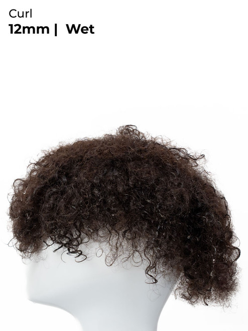 wet wavy wigs HairNotion
