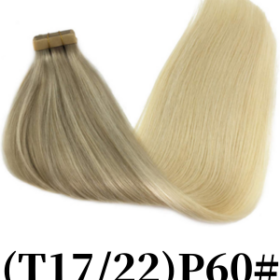 (T17/22)P60#