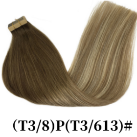 (T3/8)P(T3/613)#